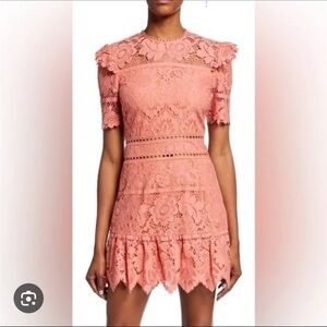 Saylor Lace Dress in Coral